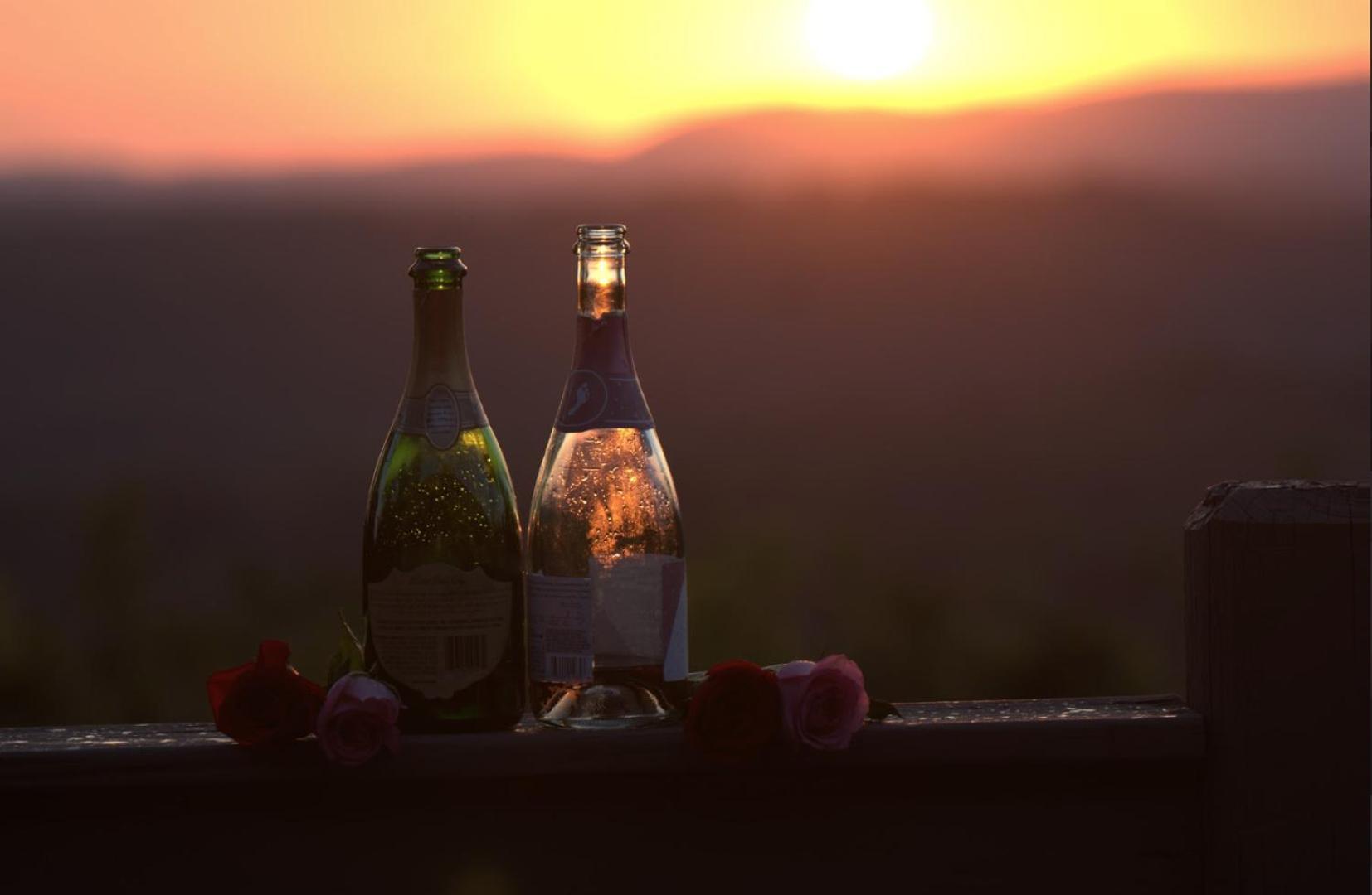 Birds Eye Cabin - Sunset & Starry Retreat Pet Friendly W Private Hottub, Fire Pit And Game Room Ellijay Eksteriør bilde